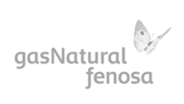 Gas Natural Fenosa