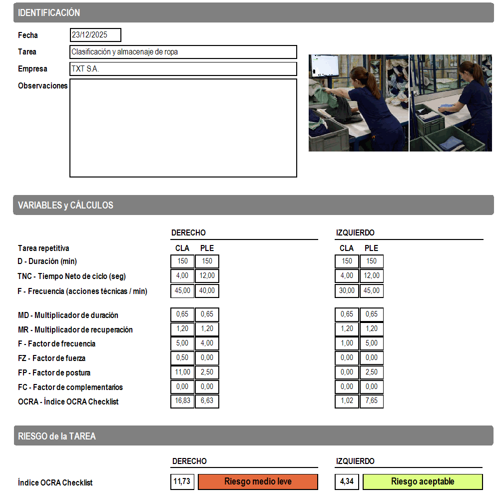 3. Cálculo automático e informe